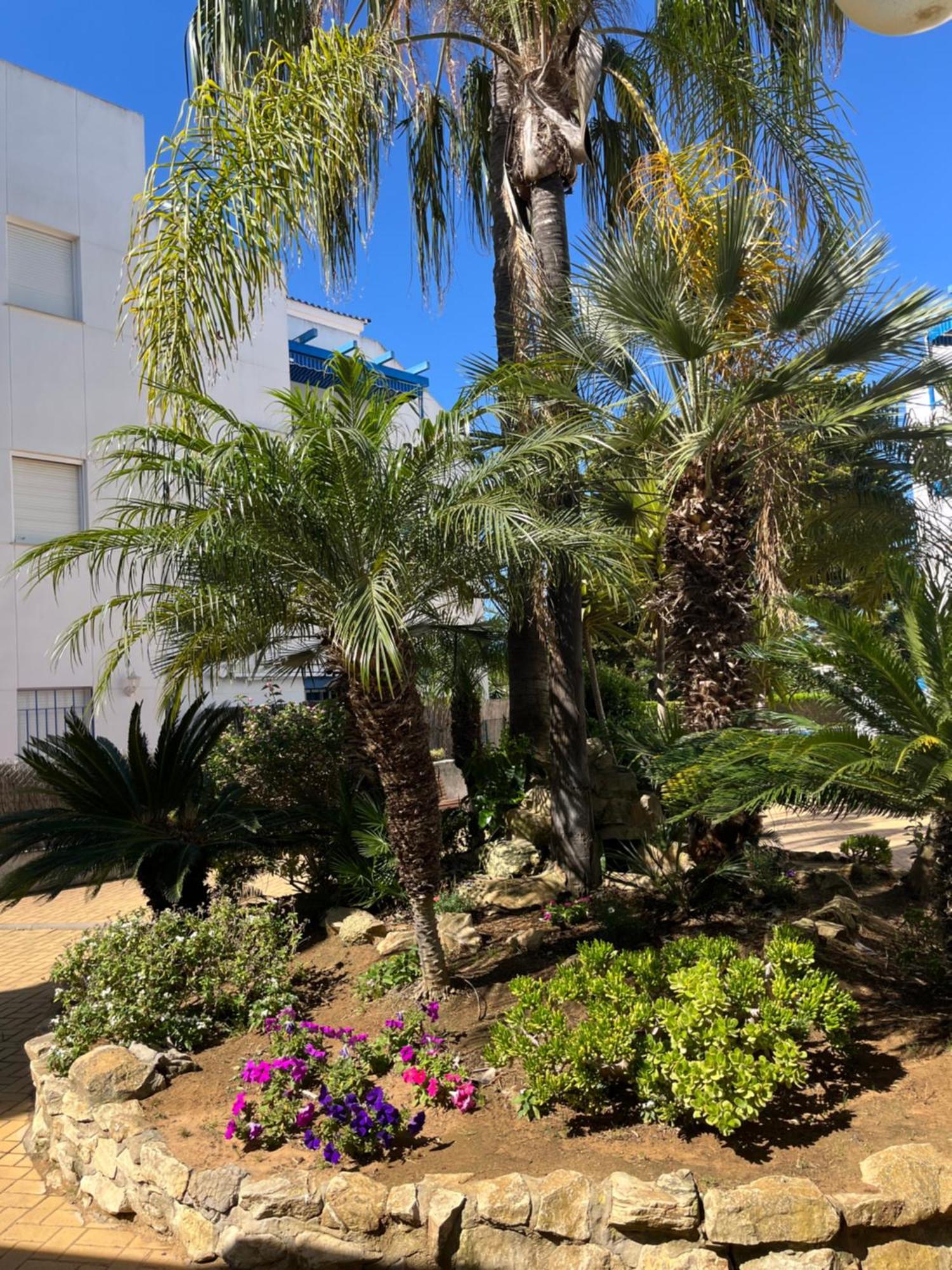 Apartamento En Costa Ballena, Urb. Playa Ballena Cadiz Luaran gambar